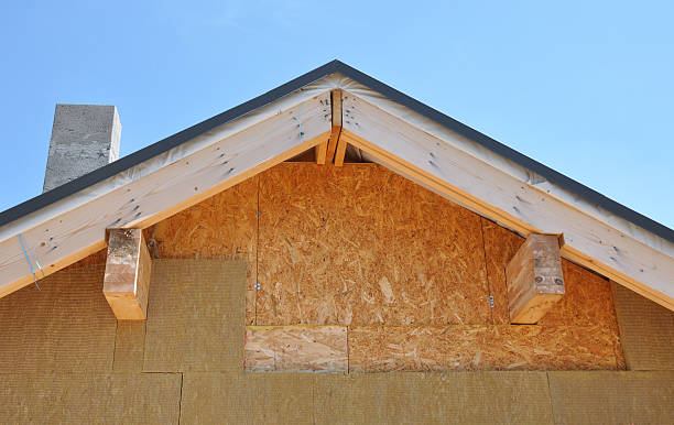 Best Custom Trim and Detailing for Siding  in Ellsworth, KS